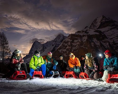 阿尔卑斯山的雪人传说·科学视角下的真相与想象 阿尔卑斯山的雪人传说·科学视角下的真相与想象