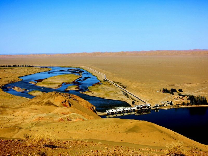 丰收荒漠地龙：不起眼的小虫子，竟然是沙漠变绿洲的秘密武器