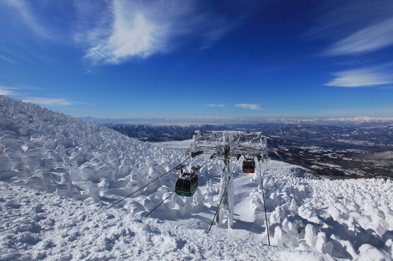 雪山上的神秘面纱｜揭开雪山白泽毒雾的神秘面纱
