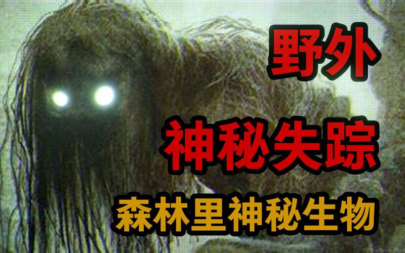 百慕大未知|影子人背后的真相 百慕大未知|影子人背后的真相
