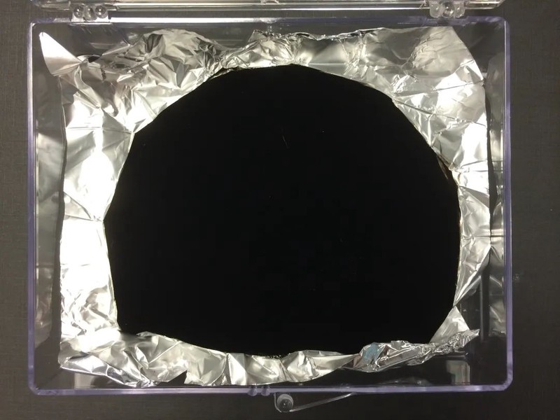 黑色羽毛背后的黑匣子之谜? 黑色羽毛背后的黑匣子之谜?