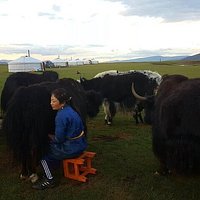 戈壁百慕大UFO之谜·那些消失在荒漠中的神秘信号