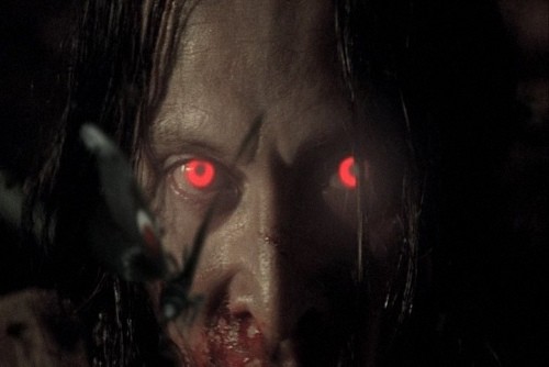 南极奇遇：天蛾人的真实见证