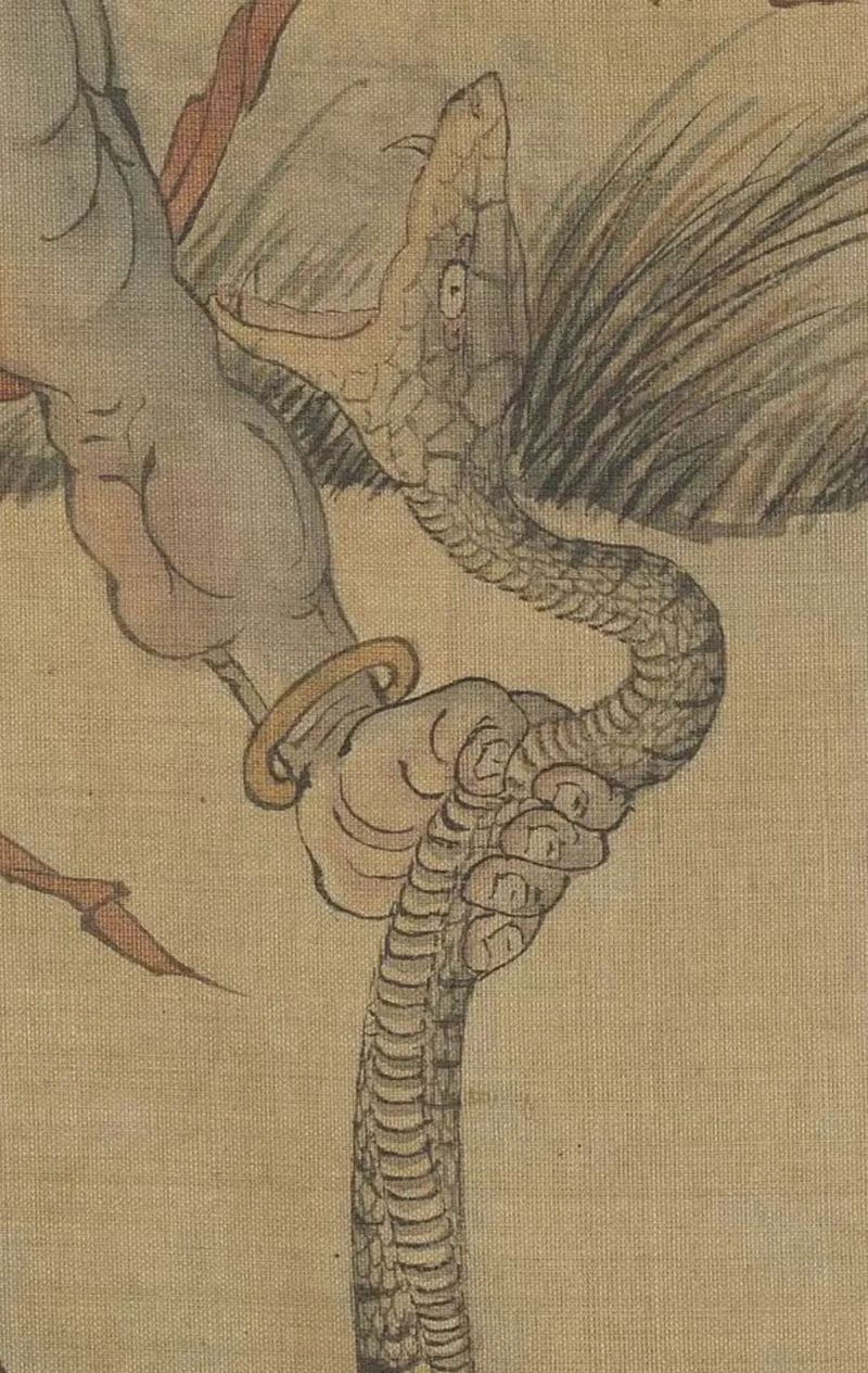 深海中的“鸟身女妖”丨神秘的深渊居民