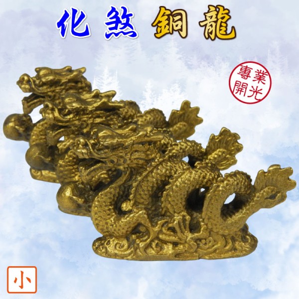 非洲铜龙：真实存在还是古老传说？