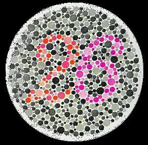 色彩的秘密与爱的启示！