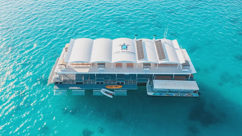 大堡礁绑架记忆揭秘·一场跨越时空的谜题