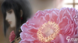 撒哈拉沙漠中的“航海修罗”｜沙漠冲沙的科学与乐趣