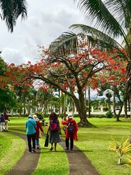 斐济扬升现象：是自然奇迹还是人类误解？