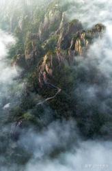 守墓雨林雾灵丨揭开热带雨林中神秘生物的真相