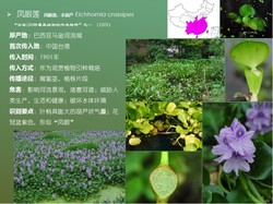 "心脏里的异乡人"丨外来植入物在中国的故事