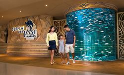 亚特兰蒂斯红绳结空间折叠·一场跨越时空的神秘之旅