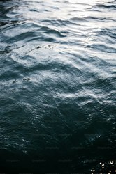 鲸落湖心丨绿光、粉尘与生命之歌