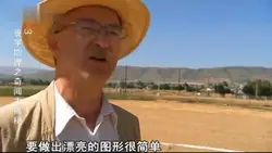 纳斯卡线条比利时目击记录·荒漠奇迹的异国回响