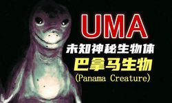 巴拿马运河的档案｜一段被遗忘的航海史诗