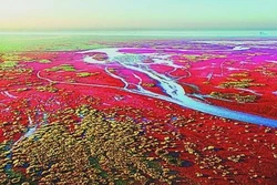 海地红外视频·未解之谜的背后，真相还是幻影？