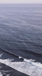 澳洲荒原上的最后一声咆哮—揭秘“荒芜大洋洲饕餮”——袋狼