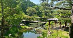 洞穴深处的神秘之光｜人鱼如何点亮黑暗世界