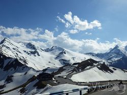 阿尔卑斯山脉的隐秘守护者·航路阿尔卑斯沙妖的奇妙世界