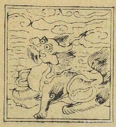 揭秘“迷雾大西洋白泽”｜海洋深处的神秘访客