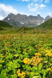 高加索山脉的神秘刻痕—残影录像揭开古老秘密