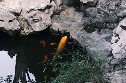 洞穴深潜者吞噬｜黑暗中的生存法则