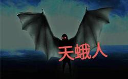 戈壁滩上的那个夜晚，我好像真的看见了天蛾人！