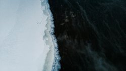 大洋洲真的有冰霜水马吗？科学家说｜这可能是你脑中的“错觉”！