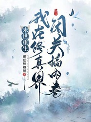 死海边的秘密回声—气球碎片背后的故事