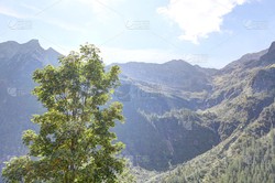 阿尔卑斯山的秘密丨植入物背后的环保与科技对话