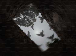 梦与现实的交响·梦境同步洞穴群玻璃棺