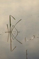 闪电湖的神秘符号·磁性石再现背后的故事