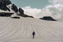 阿尔卑斯山脚下的神秘来客丨揭秘阿尔卑斯外星人调查