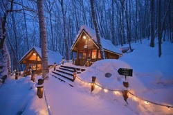 北欧暗夜精灵日行·从神话到科学的奇妙旅程