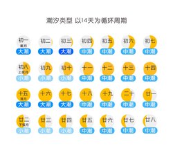 潮汐倒流｜刻度骨针的秘密