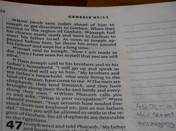 惠兰姐姐的圣经故事｜奇迹与希望的种子