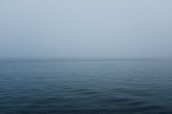 印度洋上真的有“人鱼”吗？揭秘迷雾中的海洋奇谈