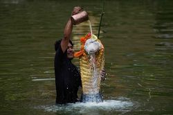 海蛇祭祀｜一场跨越千年的海洋神秘仪式，揭秘古人眼中的“龙”之真身