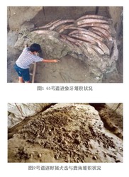 远古的呼唤—遗迹雷鸟祭祀背后的神秘面纱
