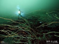 在时光的尽头，喀尔巴阡的沉思！