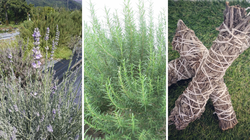 古老元素—地球的“密码书”【