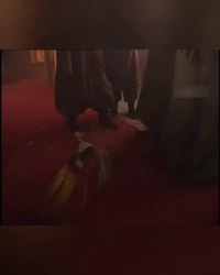 夜雨惊梦丨高衙内与林娘子的最后一夜