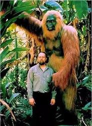 斐济五维生物之谜丨当我们以为自己在看表时，时间其实已经跑了