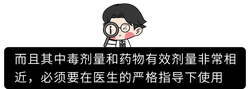 暗夜中的救赎：一滴毒药的温情