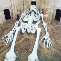 揭秘希腊骷髅会丨一场跨越百年的神秘组织之旅