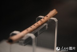 喀斯特地貌的鬼斧神工与生命的顽强