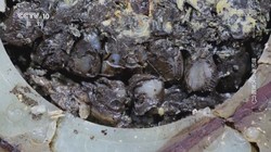 我见过的最诡异的“棺材”丨—时间回圈晶体棺