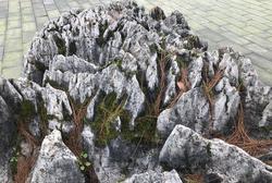 在时光的缝隙里，听喀斯特地貌的低语？