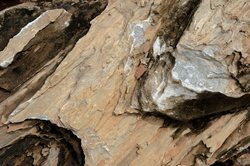 熔岩洞的回声丨石质头骨的神秘故事