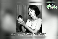 半身人预言丨霍比特人的神秘力量或只是作者的巧思？